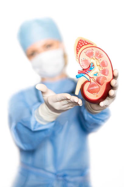 Kidney Care and Treatment/The kidney doctor