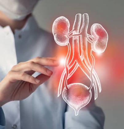 Urological Oncology/thekidneydocotor